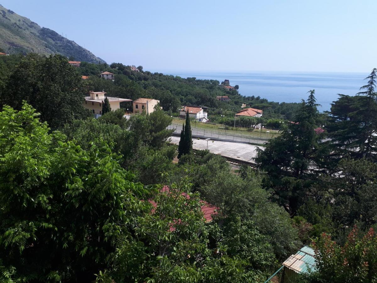 B&B Maratea Vacanze Екстериор снимка